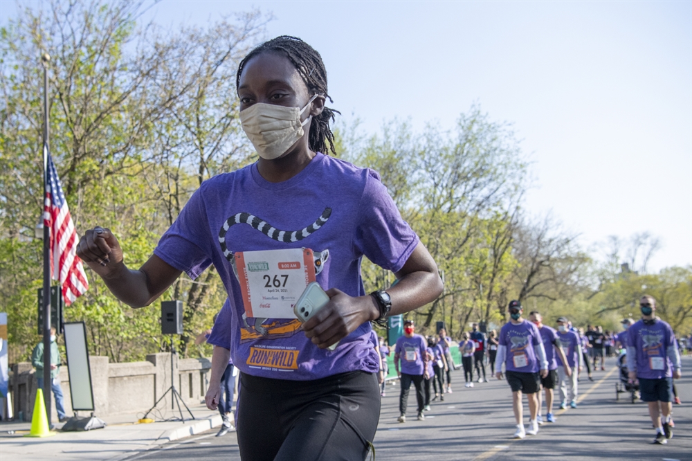 WCS Run for the Wild At the Bronx Zoo > Newsroom